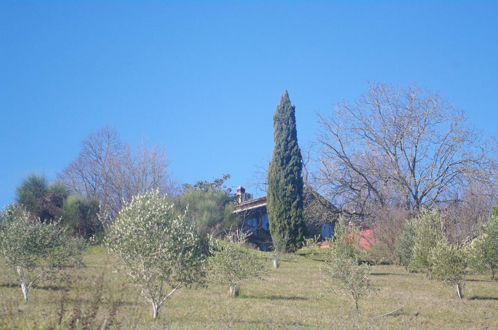 La Casa Sopra Le Nuvole Villa Medesano Eksteriør bilde